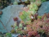 20120722_002f_0