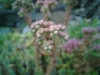 20120722_003f