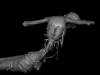progressmeat_a0